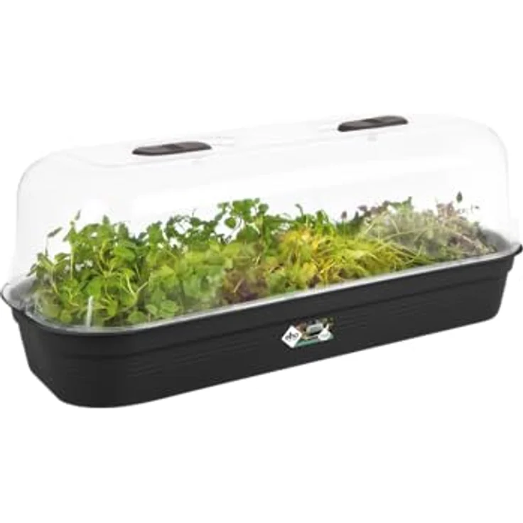 elho Green Basics Anzucht Schale L, Lebhaft Schwarz, 19.5 x 51.2 x 7.5 cm, für drinnen & draußen, frostbeständig und langlebig – Bild 3