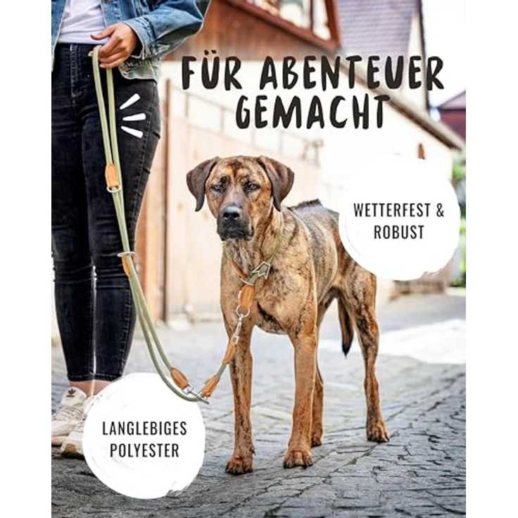 Rudelkönig Führleine Emma 2,30m - Dreifach verstellbare Hundeleine aus Kletterseil für mittelgroße & große Hunde - Elegante Tauleine in Khaki – Bild 2