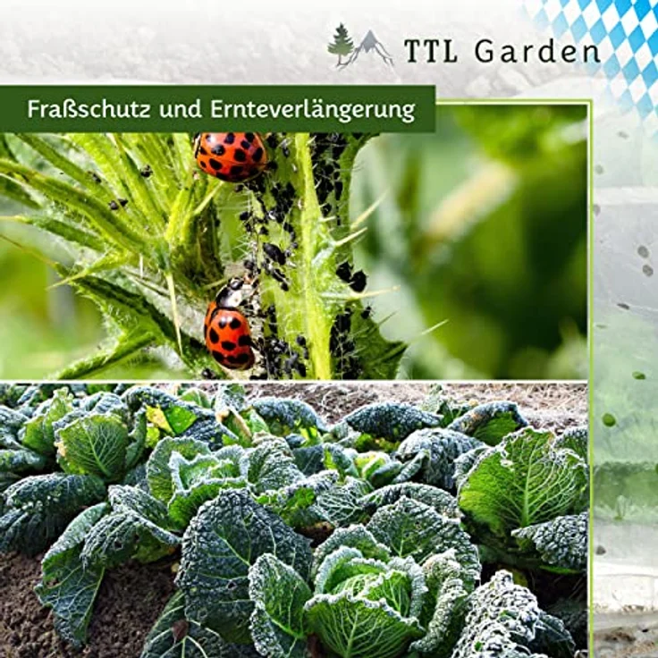 TTL GARDEN Pflanztunnel Set, 12 Tunnelbögen 65x60 cm mit gelochter PE Folie & 36 Clips – Bild 6