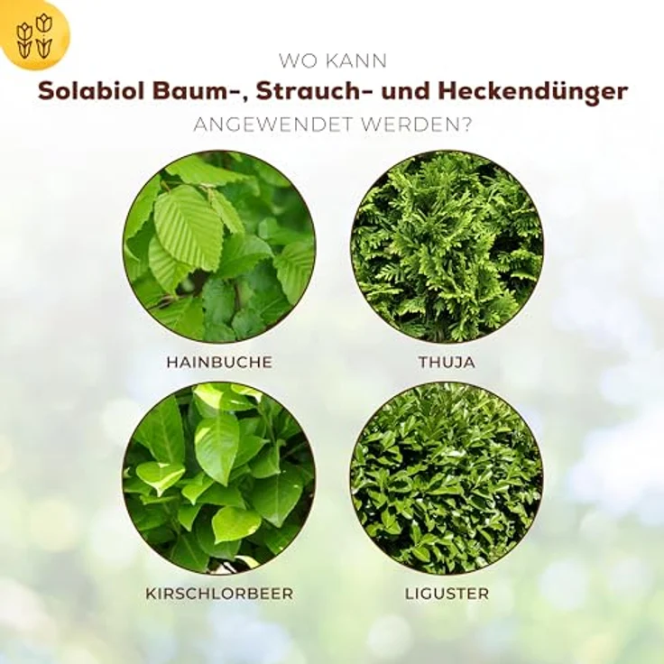 SBM Solabiol Baum-, Strauch & Heckendünger, 1,5 kg – Bild 3
