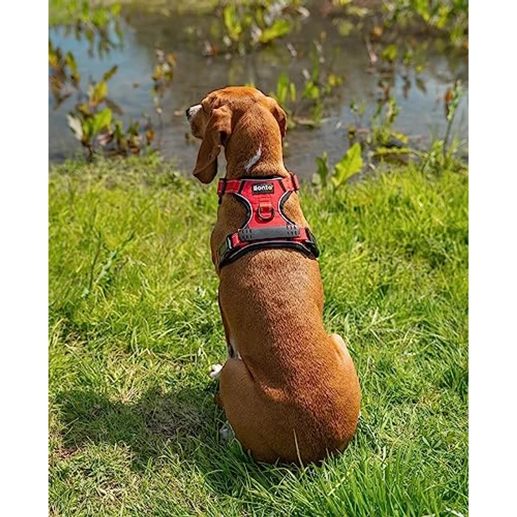 lionto Hundegeschirr gepolstert Anti Zug Geschirr reflektierend Sicherheitsgeschirr verstellbar, Größe S, rot - Preisvergleich – Bild 3
