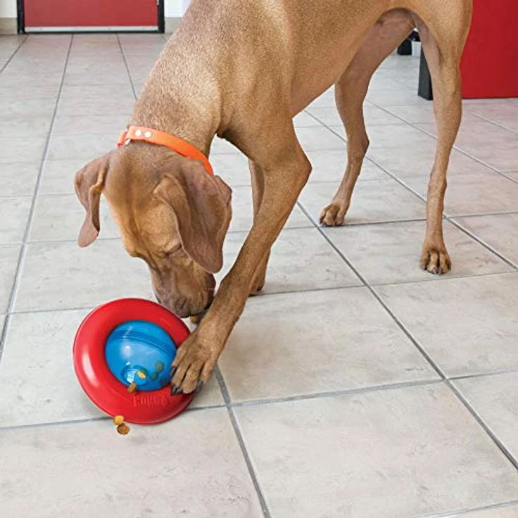 KONG – Gyro – Interaktiver Leckerlispender – Für Große Hunde – Bild 2