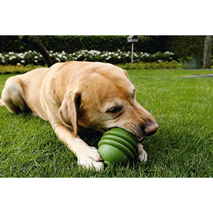 Beeztees Sumo Play L: 8 cm B: 8 cm H: 12 cm M grün – Bild 3