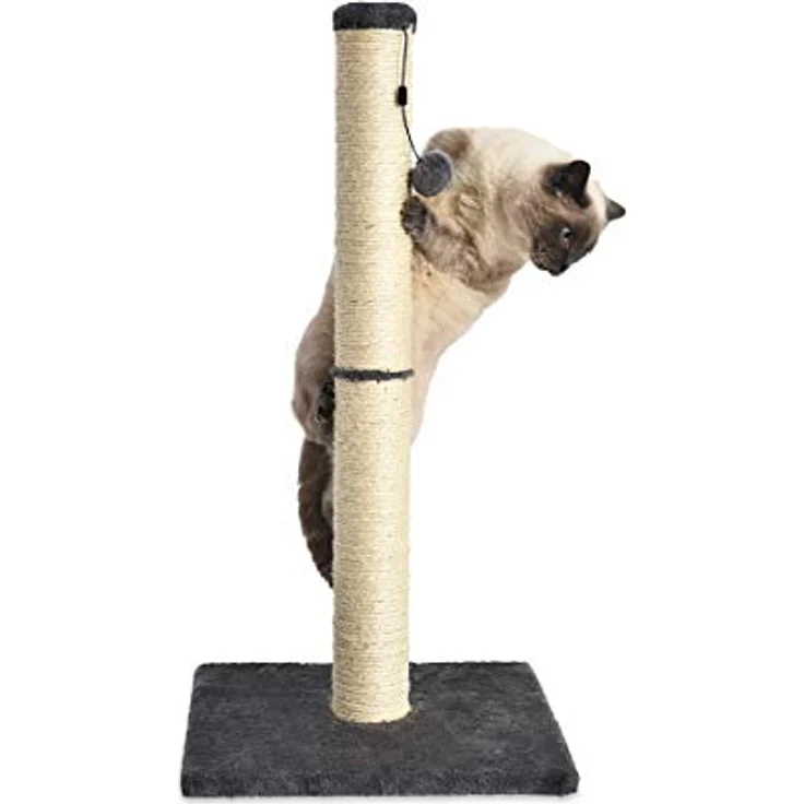 Amazon Basics – Mittelgroßer Katzen-Kratzbaum, 41 x 41 x 81 cm, grau – Bild 3