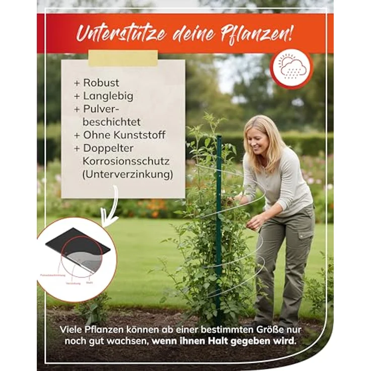 bellissa Verlängerung Pflanzenstab Timo, verzinkter Stahl, grün, 120 cm, max. Nutzhöhe 260 cm, wetterfest und stabil – Bild 4