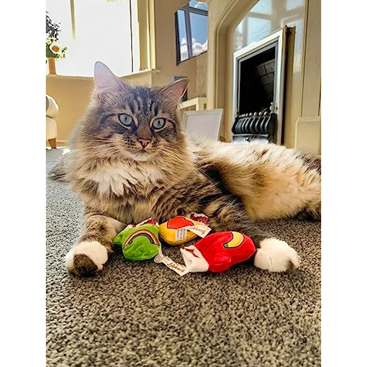 YEOWWW 3 Kätzchen-Fäustlinge, Katzenminze-Spielzeug für Katzen, 3 Stück, Bio-Katzenminze, mehrfarbiges Katzenspielzeug – Bild 4
