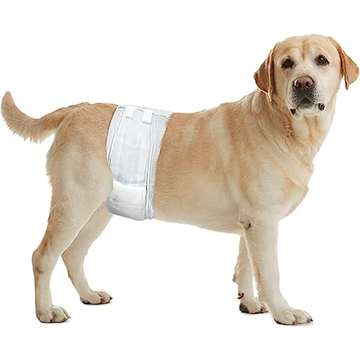 Dipy Windeln für männliche Hunde, L 60 – 80 cm, 12 Stück – Bild 3