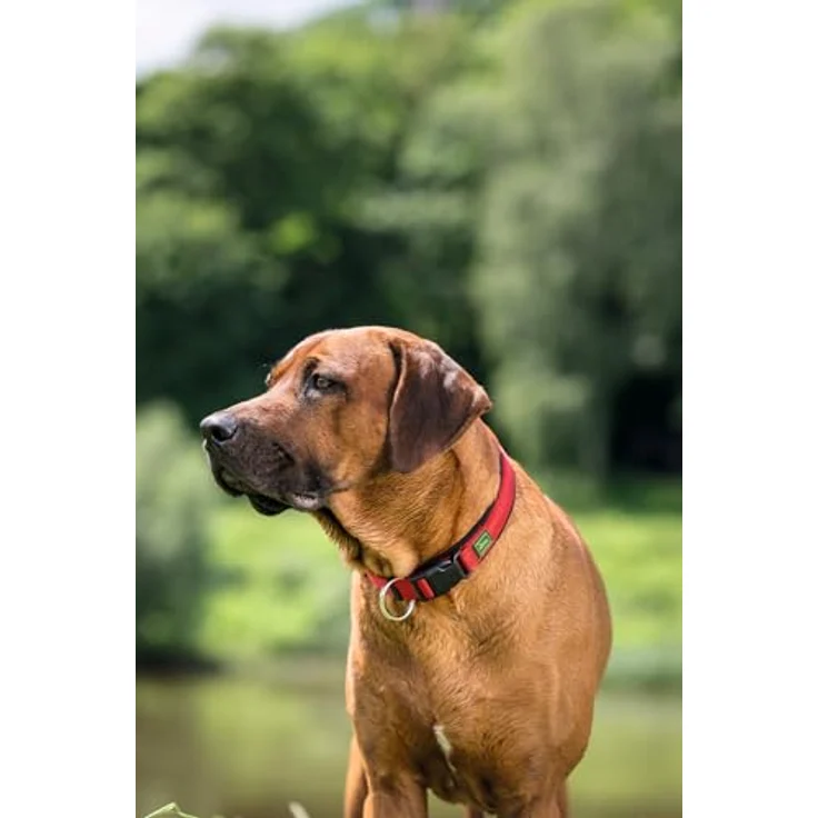 Hunter Hunde-Halsung Neopren Vario Plus rot-schwarz M – Bild 5