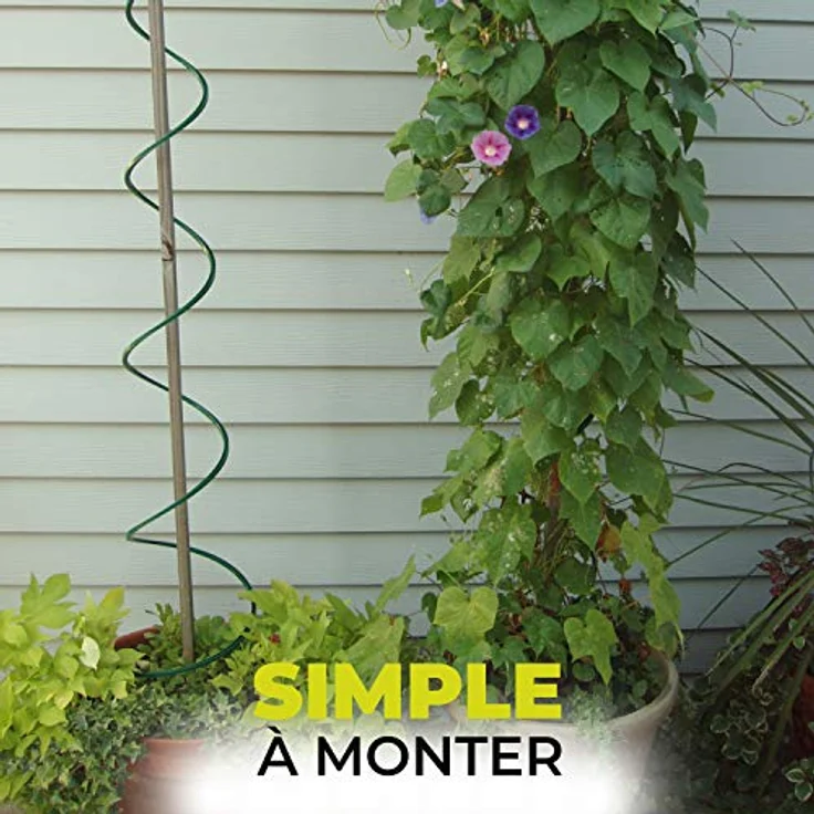 Bio Green Aufzuchtartikel Rankhilfe für Kletterpflanzen, Tomaten, Gurken, Schwarz – Bild 6