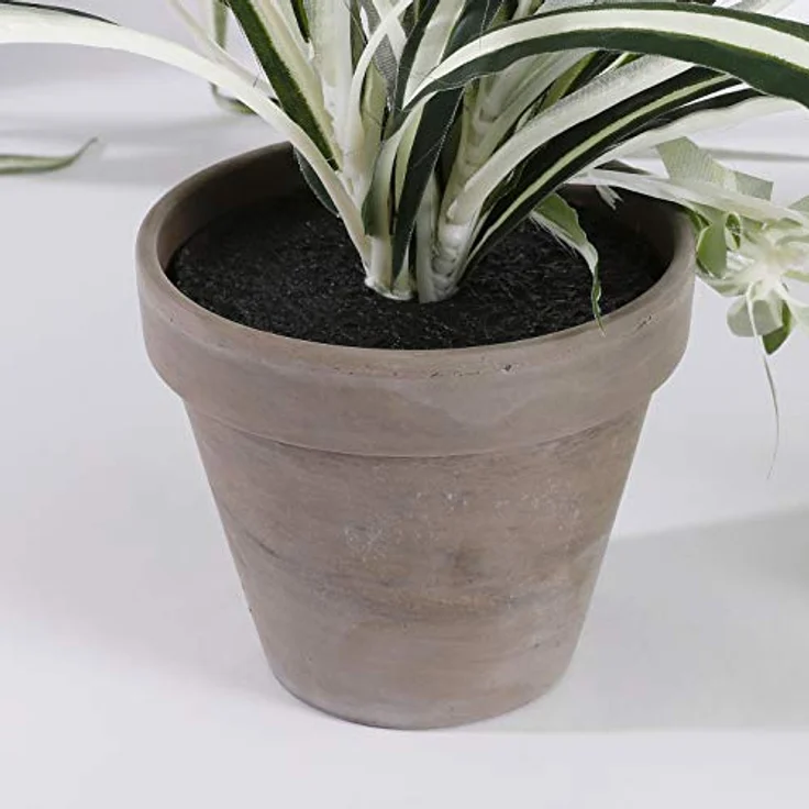 Mica Decorations Kunstpflanze Mica Chlorophytum im Topf grün, 45 x 45 cm, detailgetreue Nachbildung, sofort einsatzbereit - Preisvergleich – Bild 4