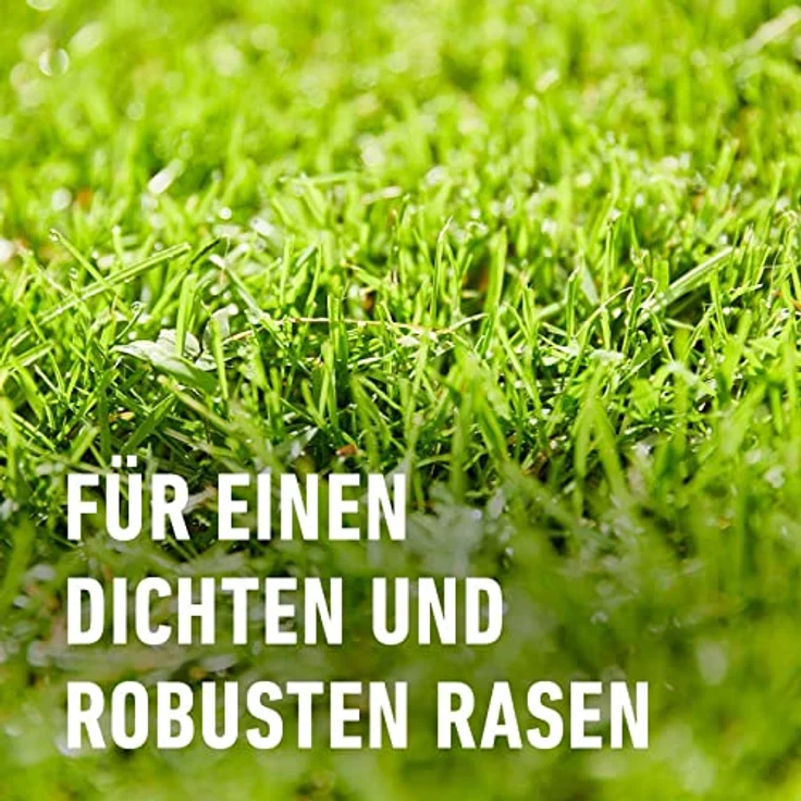 COMPO SAAT® Rasen Reparatur Komplett-Mix Plus, 4 kg – Bild 6