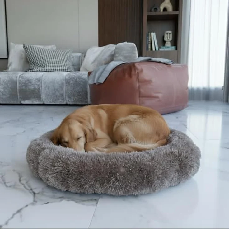 BENNO Hundebett BALU, rund 60x60x16 cm, Donut Kuschelbett mit Polypropylen-Füllung, Cappuccino, maschinenwaschbar, rutschfester Boden, inkl. Kauknochen für Hunde – Bild 2