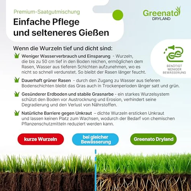 Greenato Dryland Trockenrasen 10kg, trockenresistenter Rasensamen, schnellkeimend für Frühjahr und Herbst, ideal für 400 m² – Bild 3