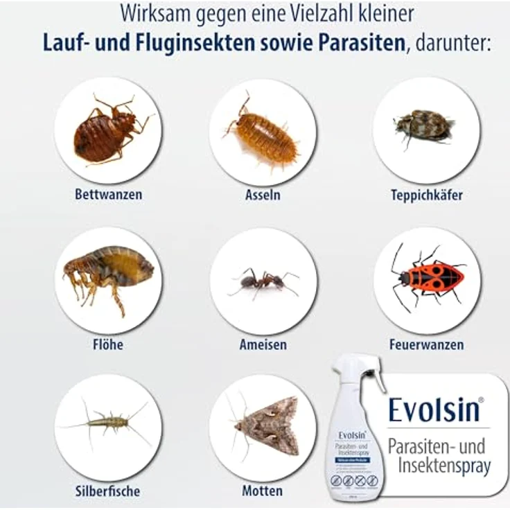Evolsin Insektenspray Parasiten- und Insektenspray, Ohne Insektizide, 500 ml, Für Innen & Außen, Wasserbasierte Formel, geruchsneutral – Bild 4