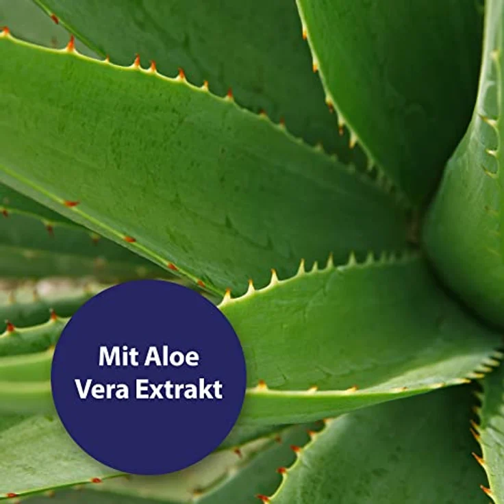 Canosept Augenpflege FingerPads für Hunde 100 Stück Augenpflege Hund und Tränenfleckenentferner Hund – Augenreiniger für Hunde mit beruhigendem Aloe Vera Extrakt, schonende Hundepflege – Bild 3
