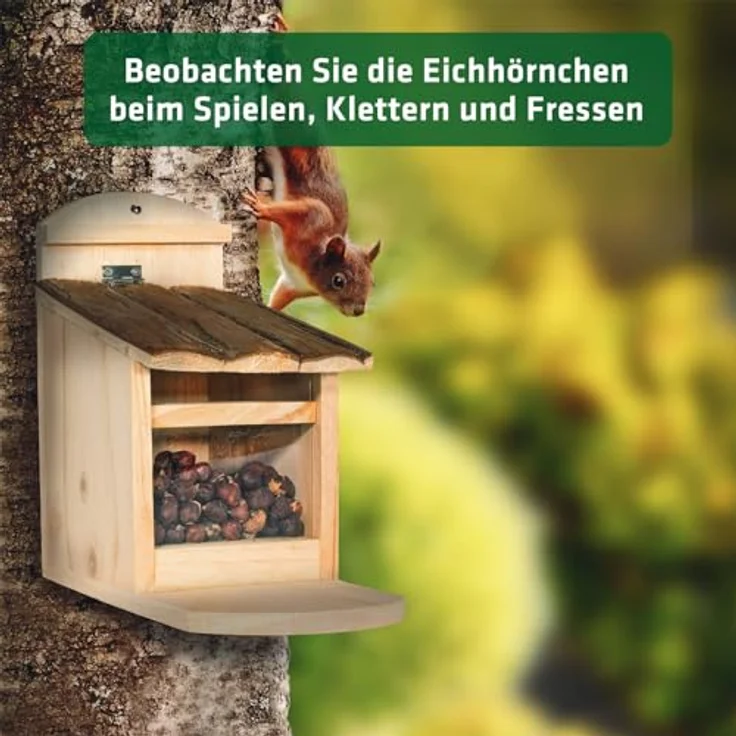GARDIGO® Eichhörnchen Futterhaus aus Holz I Stabiles Holz mit Rindendach I Wetterfeste Futterstelle zum Aufhängen I Geschütztes Glas I Futterspender zum Eichhörnchen füttern I Nussspender – Bild 5