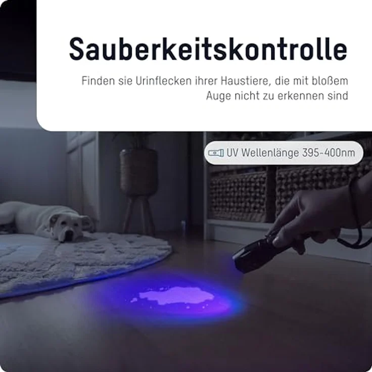 Ansmann ANSMANN Taschenlampe, UV-Lampe, LED-Leuchte, 400nm, stufenlos fokussierbar, 4 Lichtmodi, Schwarz – Bild 4