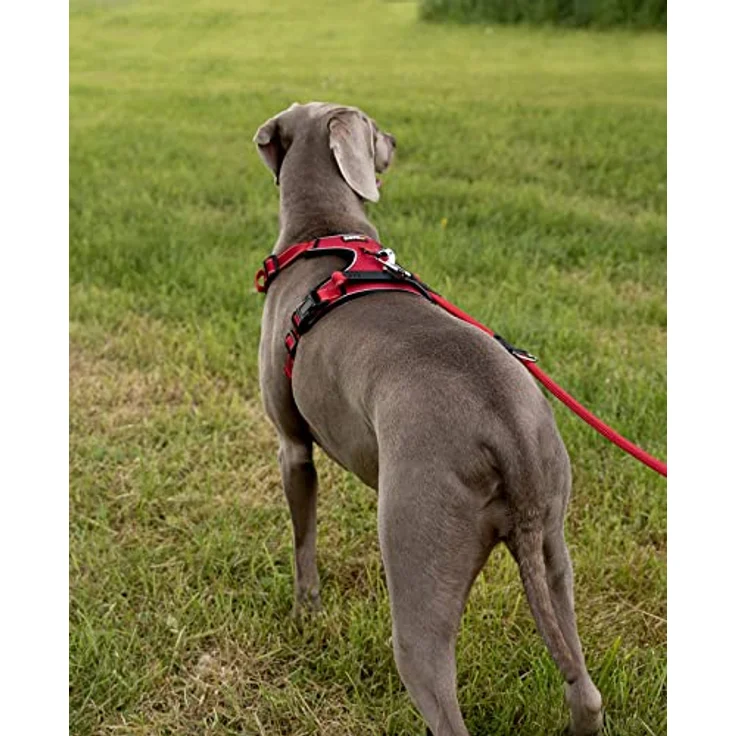 lionto Hundegeschirr gepolstert, Anti-Zug Geschirr aus weichem Nylon, Größe L, reflektierend, mit 2 Ringen, 4 Einstellgurten, 2 Klickverschlüssen und gummiertem Griff, rot – Bild 3