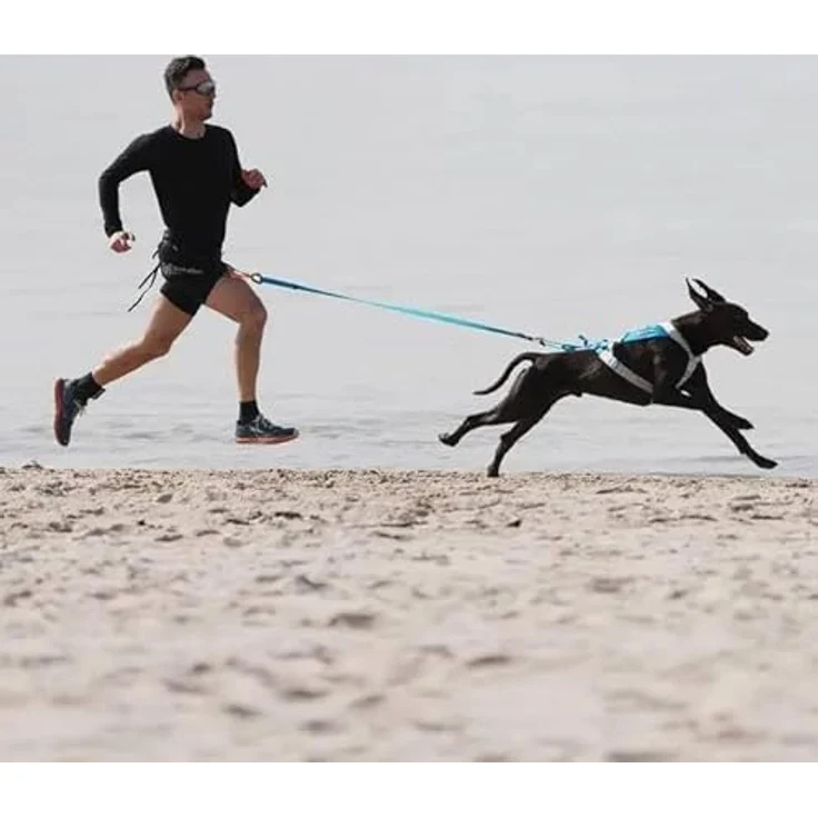 Non-stop dogwear Freemotion Geschirr 5.0, Blaugrün, reflektierend, strapazierfähig und bequem – Bild 2