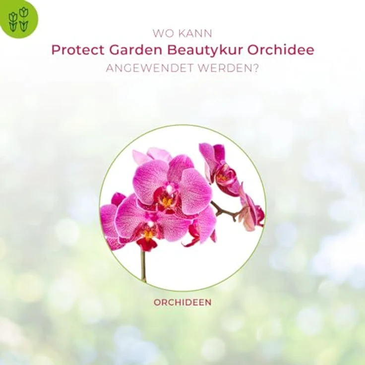 Bayer Beautykur Orchideen 20 ml – Bild 3