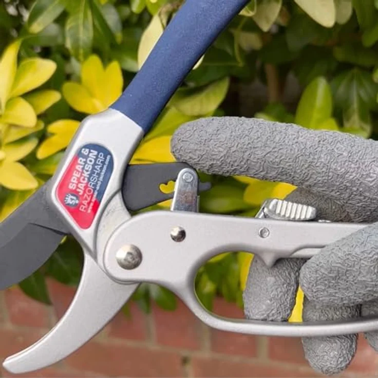 Spear und Jackson Razorsharp Advance Ratschen-Gartenschere - Amboss-Gartenschere mittelgroß – Bild 6