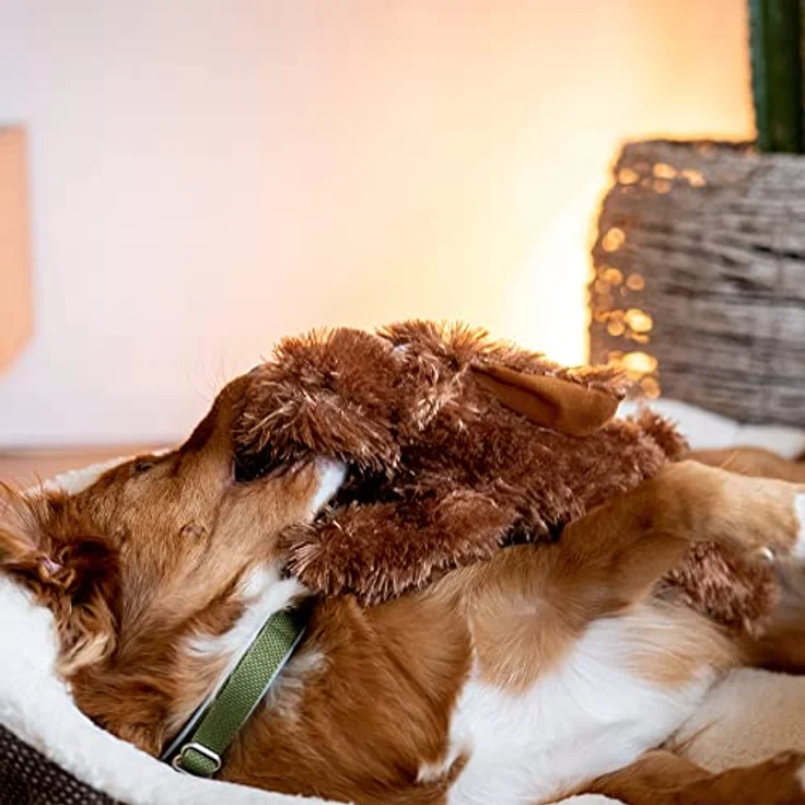 Nobby Plüsch Hund Schlappi für Hunde, ca. 27 cm, 1 Stück – Bild 3