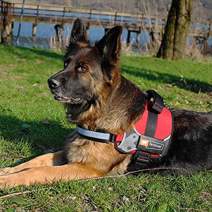 Ferplast Hundegeschirr Hercules EXTRA Large, Gepolstert, Widerstandsfähig, Kratzfest, im Dunkeln Sichtbar, mit Griff, Schwarz – Bild 3