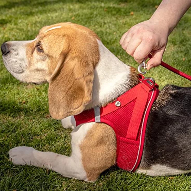 Curli Magnetic Vest Harness V2, Hundegeschirr mit optimiertem 3D Comfort Fit, magnetischen D-Ringen, reflektierendem Saum, schwarz, Größe XS – Bild 5