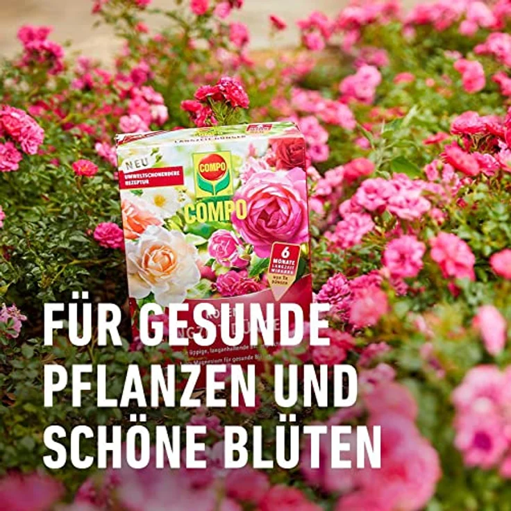 Compo Rosen Langzeit-Dünger neu, 2 kg – Bild 6
