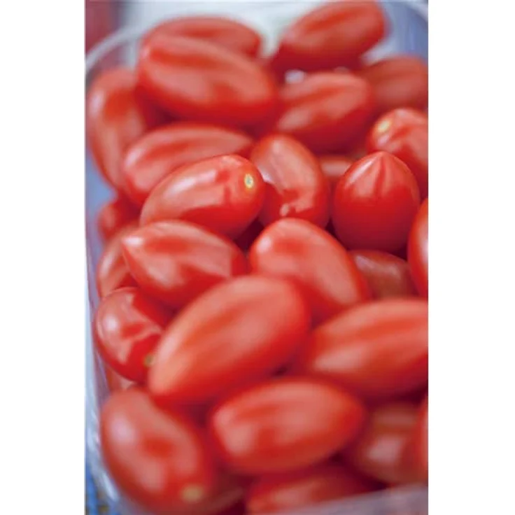 Kiepenkerl Tomate San Marzano 2 – Bild 4