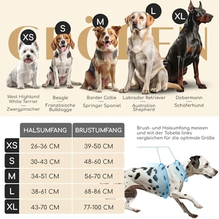 FREUDENTIER® Hundegeschirr mit atmungsaktiver Polsterung - Bombenfester Sitz - Anti Zieh Brustgeschirr für große, mittelgroße und kleine Hunde (XL) in Weiß – Bild 2