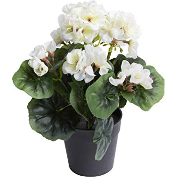 Botanic-Haus Kunstblume Geranie, 6 Stiele, Höhe 26 cm, ideal für Frühlingsdekoration