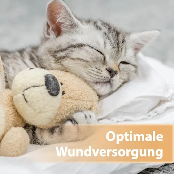 Felisept Wundspray für Katzen, 75ml - Optimale Wundversorgung, schmerzfreie Anwendung, von Tierärzten empfohlen – Bild 5