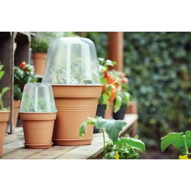 Elho Green Basics Anzuchthaube rund D30 cm – Bild 5