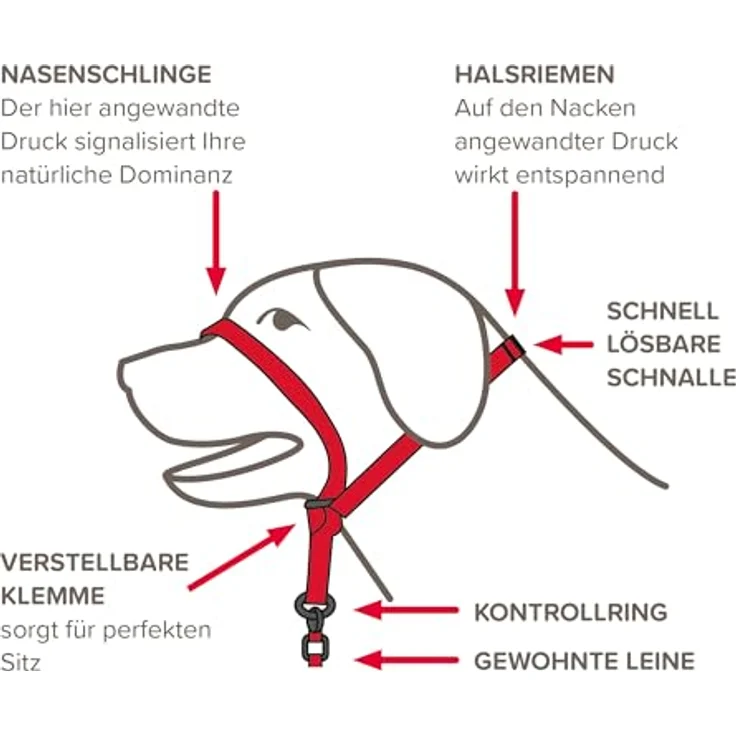 Beaphar - Gentle Leader - L - Schwarz - 1 Stück – Bild 4