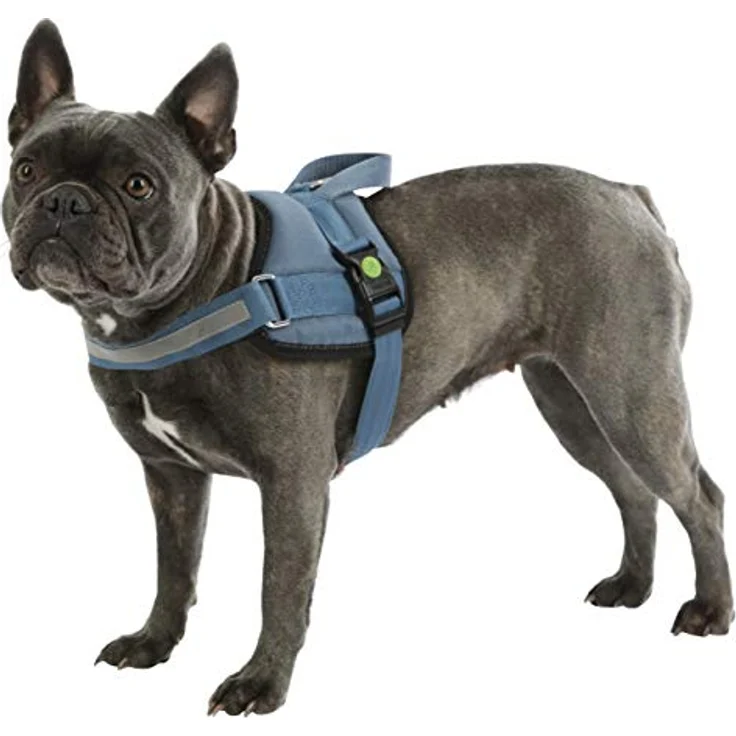 Kerbl Maxi-Pet 80212 Geschirr Maestro 2.0, mit Adresstube – Bild 4