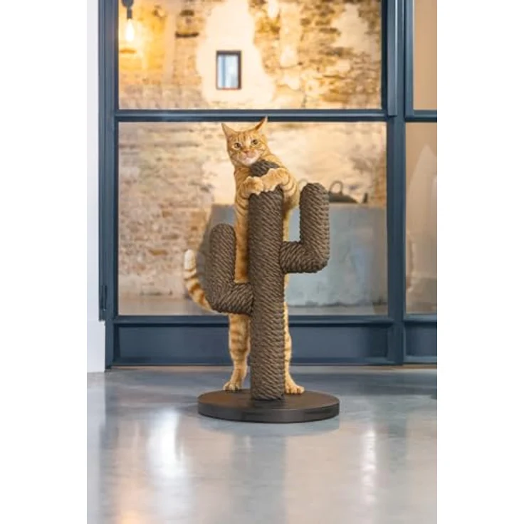 Designed by Lotte Kratzbaum Cactus Holz 35x60 cm Schwarz – Bild 3