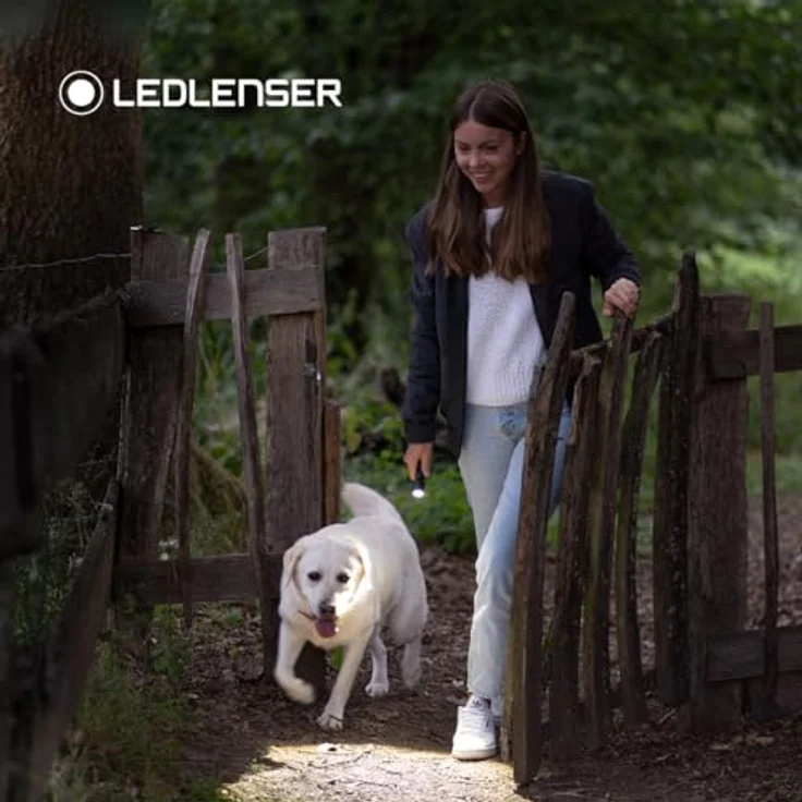 Ledlenser P6R Core Taschenlampe (15.70 cm, 900 lm) - IPX8 wasserdicht, 240 m Leuchtweite, stufenlos dimmbar – Bild 8