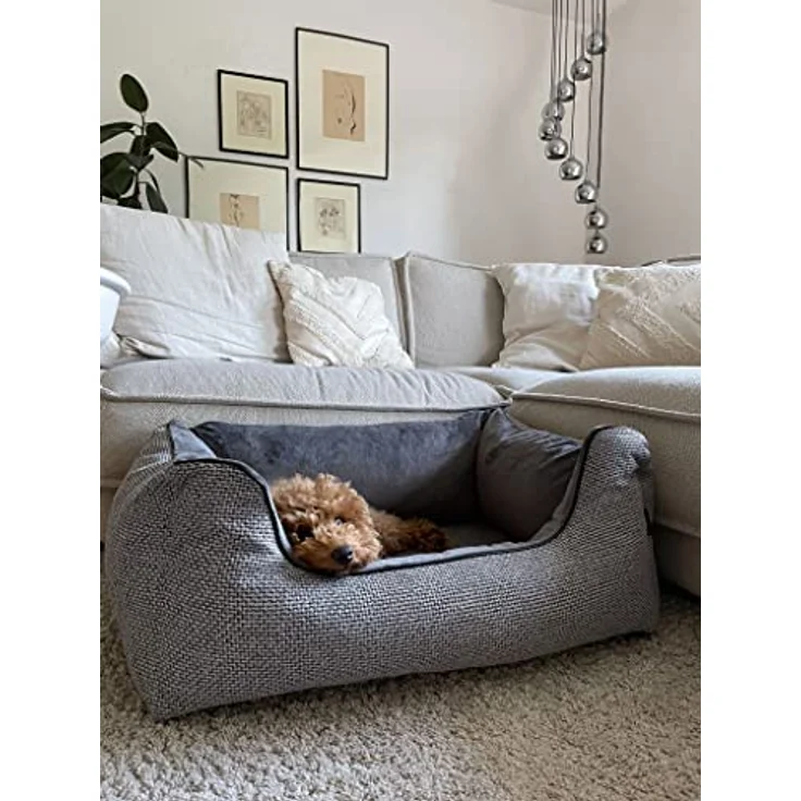 Lebon - Louis Plus - Orthopädisch - Hochwertig und Made in EU - Kuschelweich - Hoher Rand - Waschbar - Bester Liegekomfort (XL, Silver) – Bild 3