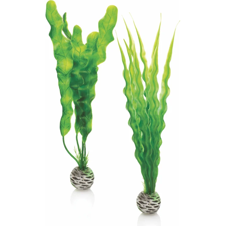 biOrb Pflanzen Set mittelgroß grün (46056) – Bild 1