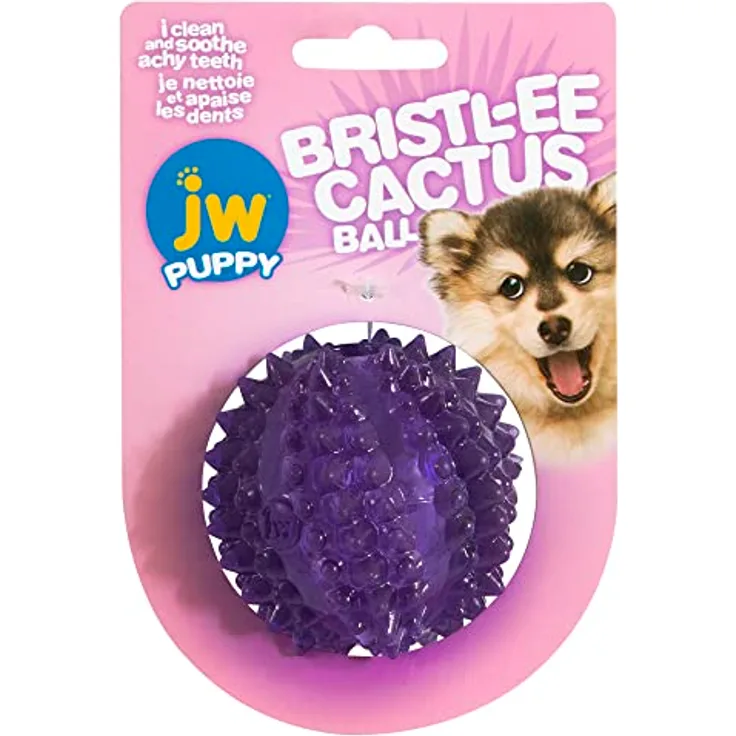 JW Bristly Cactus Ball – Zahnspielzeug zur Entlastung von Welpen – Kauball für Welpen – weiches und Robustes strukturiertes Gummi – Massiert das Zahnfleisch – Einheitsgröße