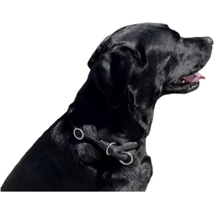 MediMuc Soft Cord Hundehalsband, Zugstopper, Nylon Halsung, schwarz, S - 45cm, robust, wetterfest, textilverstärkt, Leder-Endkappen – Bild 2