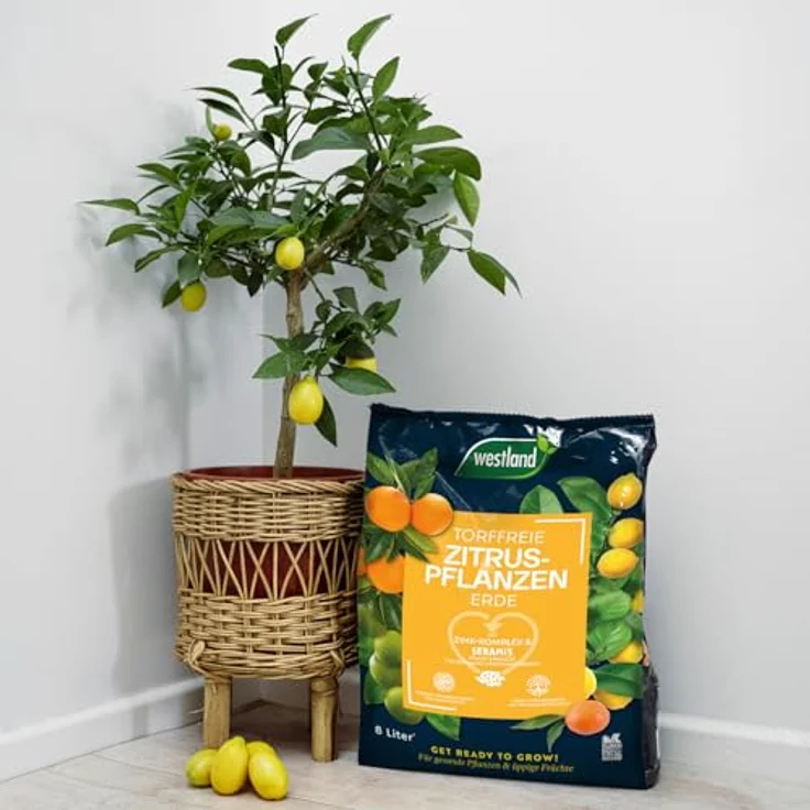 WESTLAND Zitruspflanzen Erde, 8 Liter – Bild 3