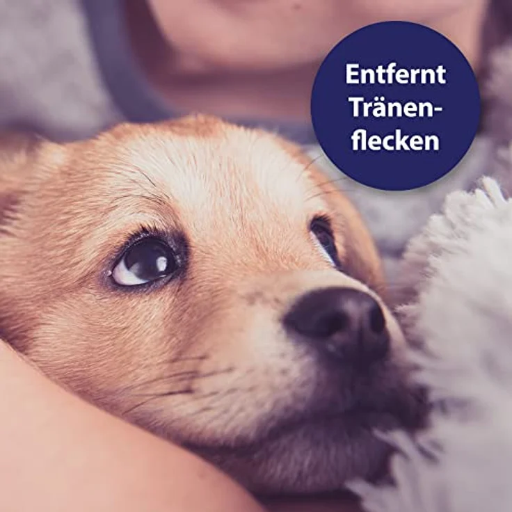 Canosept Augenpflege FingerPads für Hunde 100 Stück Augenpflege Hund und Tränenfleckenentferner Hund – Augenreiniger für Hunde mit beruhigendem Aloe Vera Extrakt, schonende Hundepflege – Bild 4