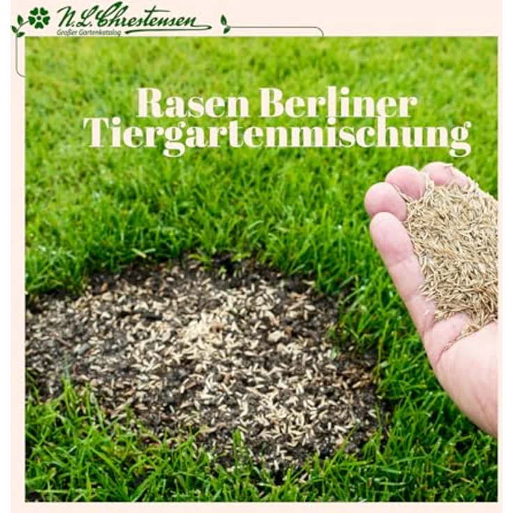 Chrestensen Berliner Tiergartenmischung, 500g Schnellwachsender Zier- und Gebrauchsrasen für mittelhohe Belastbarkeit, 15m², pflegeleicht – Bild 3