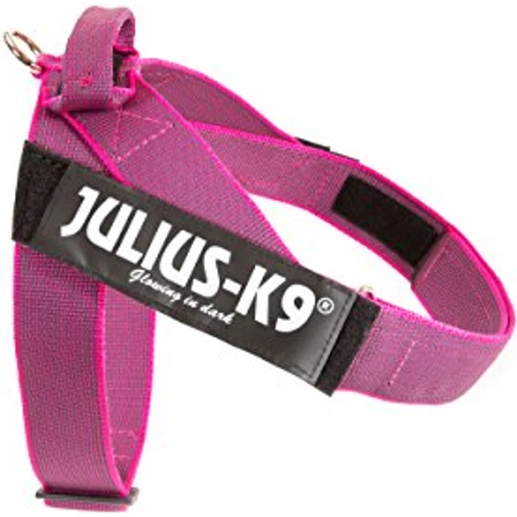 Julius-K9, Color & Gray, Beltgeschirr – Bild 1