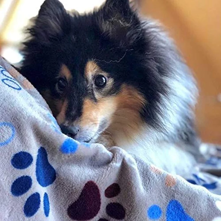 Nobby Fleece Plaid LISSI Classic dunkelgrau – Bild 5