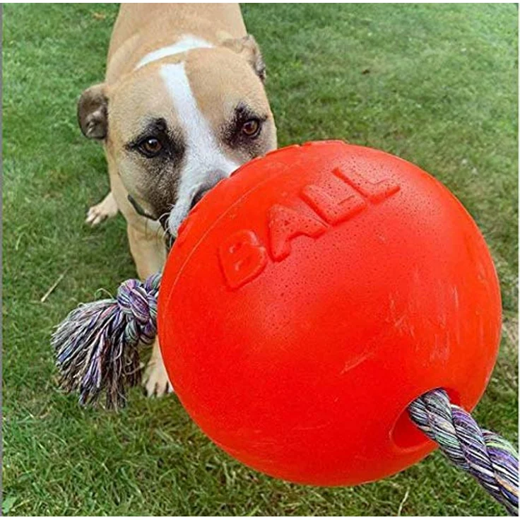 Jolly Pets toben und herum Rollen Spielzeug., Large / X-Large – Bild 2