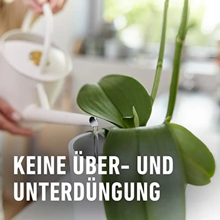 Compo Düngestäbchen für Orchideen – Bild 6