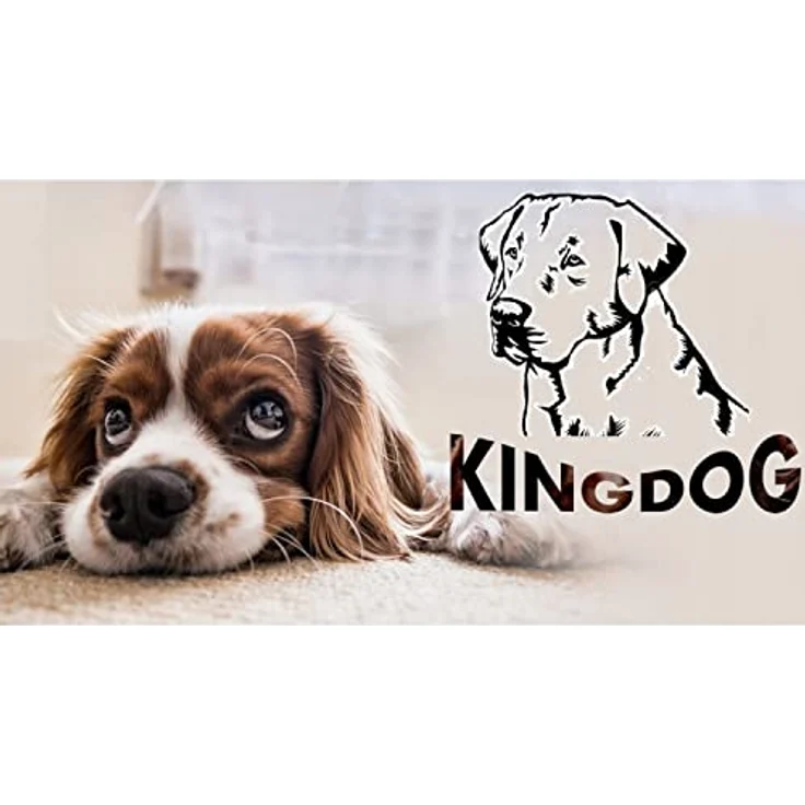 KingDog Hunde- und Katzenbett mit Zwei Kissen Hundekissen Hundekorb Haustierbett Waschbar Wasserdichtes PVC-Material (M 75x65cm, Grün) – Bild 5